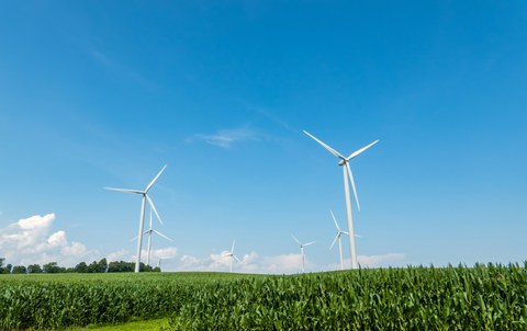 Windräder in einem Feld