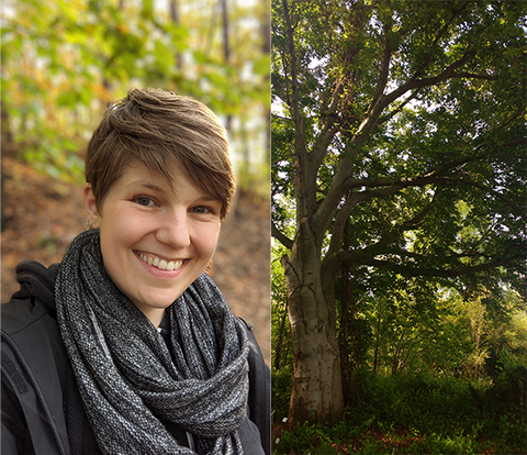 Dr. Solvejg Nitze ist im Portrait zu sehen und im Hintergrund ein herbstlicher Wald sowie rechts ein Foto von einem Baum aus dem Botanischen Garten der TU Dresden