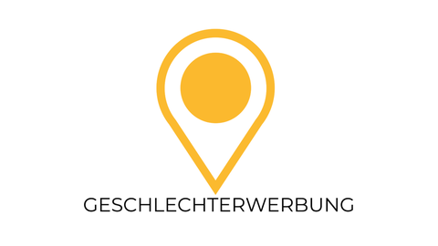 Website Geschlechterwerbung
