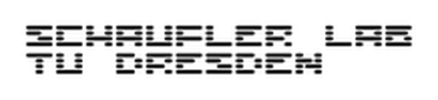 Schauflerlab