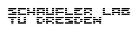 Schaufler Lab Text Logo