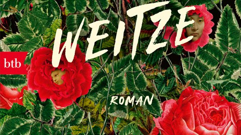 Buchcover von Charlotte Weitzes Buch „Rosarium“ mit einer Nahaufnahme von Rosen und grünen Blütenblättern