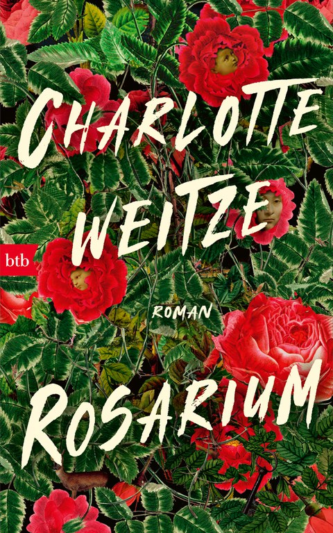 Buchcover von Charlotte Weitzes Buch „Rosarium“ mit einer Nahaufnahme von Rosen und grünen Blütenblättern