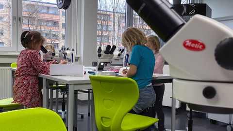 Schüler der Universitätsschule Dresden beim Mikroskopieren