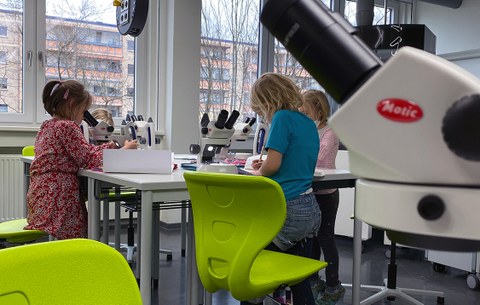 Schüler der Universitätsschule Dresden beim Mikroskopieren