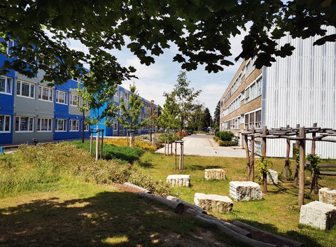 Das Schulgelände der Universitätsschule Dresden mit blau-grauem Containergebäude, DDR-Altbau und gestaltetem Außengelände als grünes Atelier im Sonnenschein