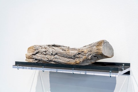 Lena von Goedeke: Trümmer, 2023/24, Permafrost, Plexiglas, Stahl; 18 x 60 x 22 cm, Foto: Caroline Schlüter