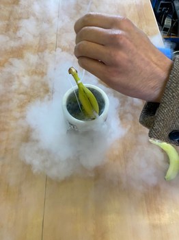 Langzeitexperiment Gefriertrocknung, 2021