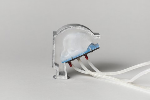 Vokaltrakt-Modell einer Mumie mit eingebauter fluidischer Zunge, 2021, 3D-Druck / 3D-Print; Professur für Sprachtechnologie und Kognitive Systeme, Institut für Akustik und Sprachkommunikation, TUD