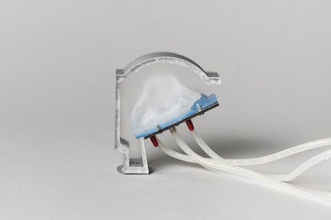 Vokaltrakt-Modell einer Mumie mit eingebauter fluidischer Zunge, 2021