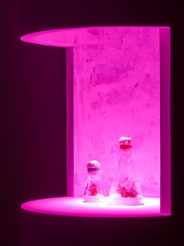 Christian Kosmas Mayer: Aevum (detail), 2019