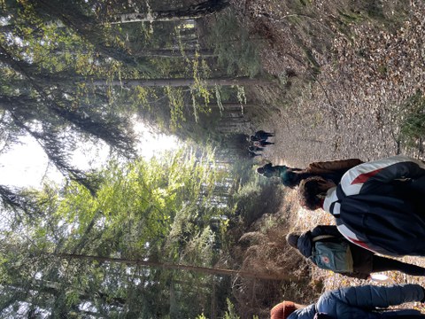 Field trip Lausche