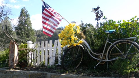 Fahrrad Blumen US Flagge Windrad