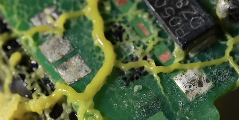 Rewilding the Web