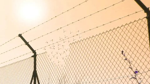 Race borders and digital Technology
