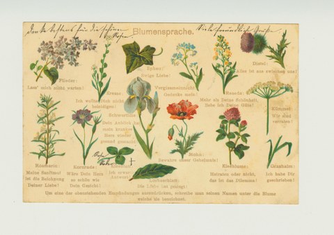Postkarte mit Blumensprache um 1900