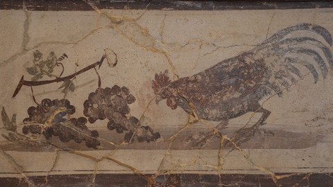 Antikes Fresko. Ein Hahn pickt Weintrauben