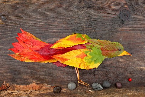 Ein Vogel bestehend aus bunten Herbstblättern