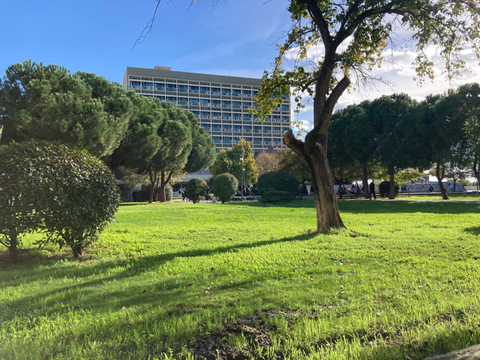 Campus und Park