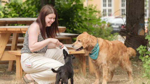 Eine Frau hockt vor zwei Hunden und lacht.