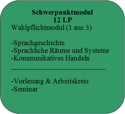 Schwerpunktmodul