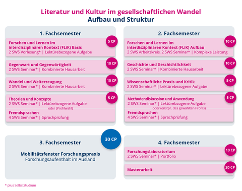 Aufbau und Struktur des Masterstudiengangs Literatur und Kultur im gesellschaftlichen Wandel