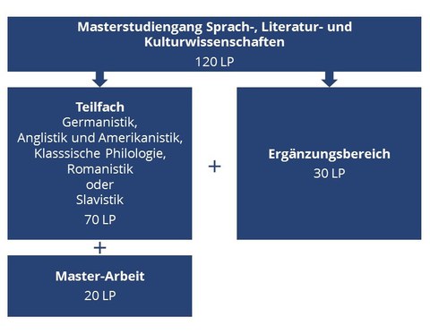 Schematischer Überblick Master