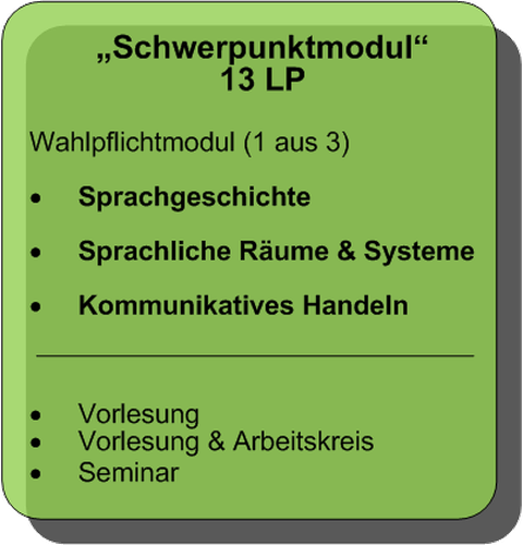 Schwerpunktmodul