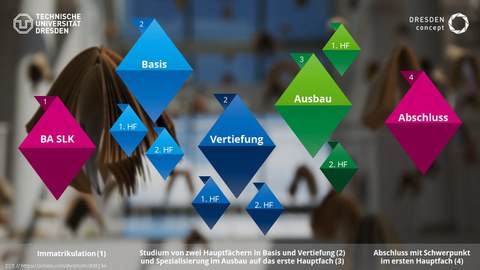 Studiengangsaufbau
