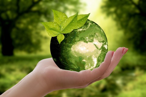 Bild von Anncapictures auf Pixabay- Es stellt dar: Erdkugel in der geöffneten Hand, ein grünes Blatt oben drauf und die Kontinente grün, im Hintergrund grüne Natur