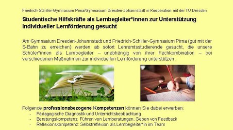 Ausschnitt des Flyers "Studentische Hilfskräfte als Lernbegleiter am Friedrich-Schiller-Gymnasium Pirna und am Gymnasium Dresden-Johannstadt gesucht"