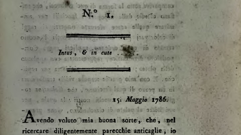 Promotionspreis Mantovani