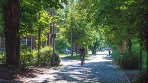Foto einer gepflasterten Allee auf dem Campus, darauf fährt ein Radfahrer