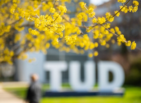 Frühlingsfoto mit TUD-Schriftzug auf dem TUD-Campus