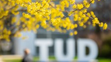 Frühlingsfoto mit TUD-Schriftzug auf dem TUD-Campus