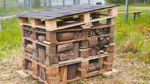 insect hotel