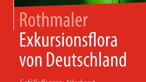 Titelseite einer Forschungspublikation