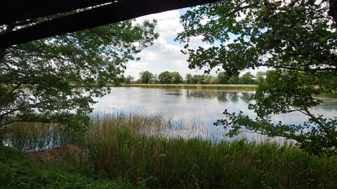 Blick auf Teich