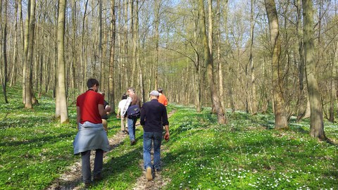 Foto in Rückansicht mehrerer Personen, die durch einen lichten Wald gehen. Die Bäume sind noch nicht belaubt und der Boden ist mit Frühblühern bewachsen.