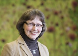 Portraitfoto von Frau Professorin Irene Ring.