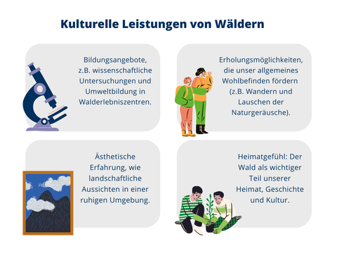 Eine Grafik mit vier Boxen über die Regulierungsleistungen von Wäldern: Sauerstoffproduktion und Filtration von Luftschadstoffen, Schutz vor Hochwasser durch die Regulierung des Wasserkreislaufs; Bodenbedeckung, Randstreifen und Gehölze verringern Erosionen; Reduzieren des Klimawandels durch die CO₂ Absorption durch Photosythese.