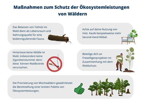 Maßnahmen zum Schutz der Ökosystemleistungen von Wäldern: Die Grafik zeigt 5 Boxen mit Maßnahmen zum Schutz der Ökosystemleistungen von Wäldern. 1. Das Belassen von Totholz im Wald dient als Lebensraum und Nahrungsquelle für eine bodenregulierende Fauna. 2. Achten Sie auf Ihre Nutzung von Holz. Kaufen Sie beispielsweise mehr Second-Hand Möbel. 3. Hinterlassen Sie keine Abfälle im Wald, insbesondere keine Zigarettenstummel, diese können Waldbrände verursachen. 4. Nehmen Sie an Freiwilligenprojekten im Zusammenhang mit dem Waldschutz teil. 5. Die Priorisierung von Mischwäldern gewährleistet die Bereitstellung einer breiten Palette von Ökosystemleistungen