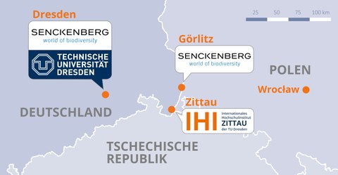 Karte des Dreiländerecks Deutschland-Polen-Tschechien mit den Standorten Görlitz, Dresden und Zittau des Studiengangs