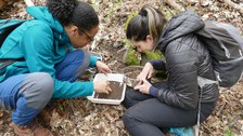 Studierende bei einer Freiland-Exkursion durchsuchen eine Bodenprobe.