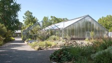 Blick auf ein Gewächshaus im Botanischen Garten der TU Dresden