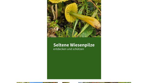 Faltblatt des NABU zu Wiesenpilzen