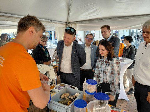 Dr. A. Karich vom IHI Zittau erläutert dem Zittauer OB T. Zenker, dem Rektor der HSZG Prof. A Kratzsch, der Staatssekretärin Prof. H. Graßmann und dem Bundestagsabgeordneten F. Oest anhand von Pilzpräparaten den Forschungsschwerpunkt Mykologie.