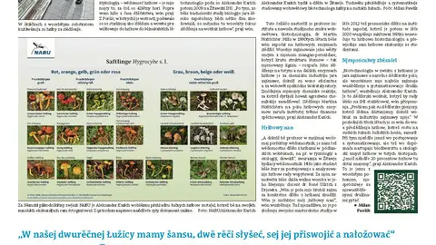 Seite der Wochenendbeilage "Předżenak" der sorbischsprachigen Tageszeitung "Serbske Nowiny"