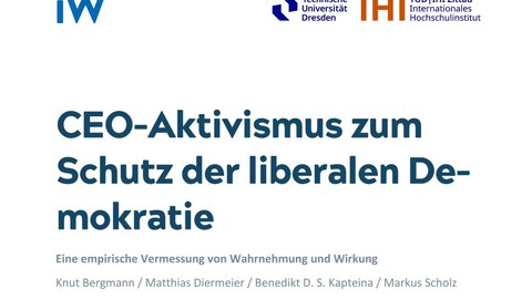 Deckblatt IW Policy Paper