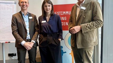 Mitbestimmung, Free-Riding, Verantwortung
